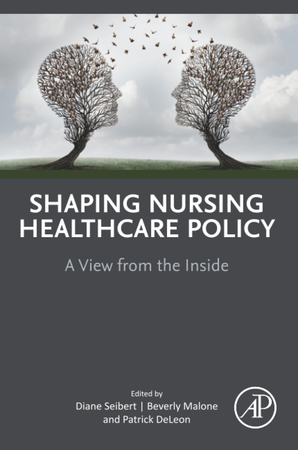 Shaping Nursing Healthcare Policy: A View from the Inside
