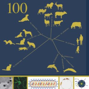Advances in Virus Research (Volume 100)