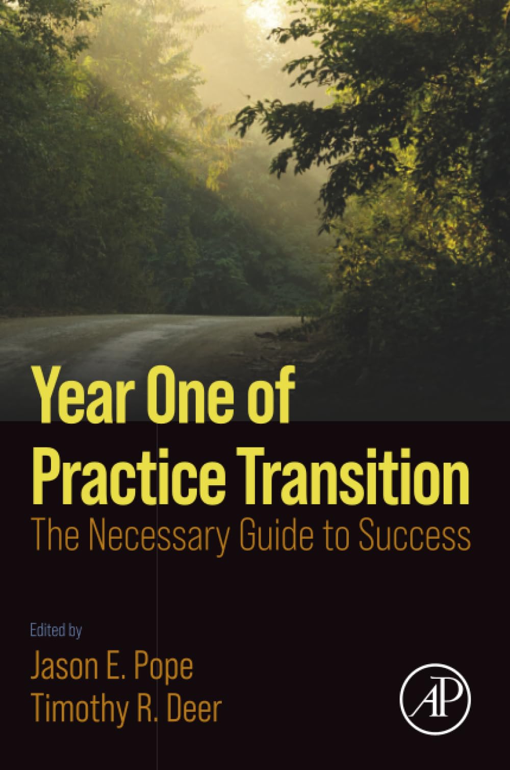 Year One of Practice Transition: The Necessary Guide to Success