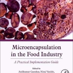 Microencapsulation in the Food Industry: A Practical Implementation Guide