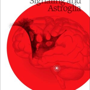 Noradrenergic Signaling and Astroglia