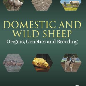 Domestic and Wild Sheep: Origins