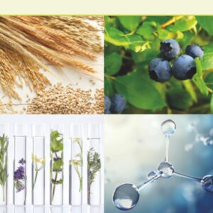 Functional and Preservative Properties of Phytochemicals