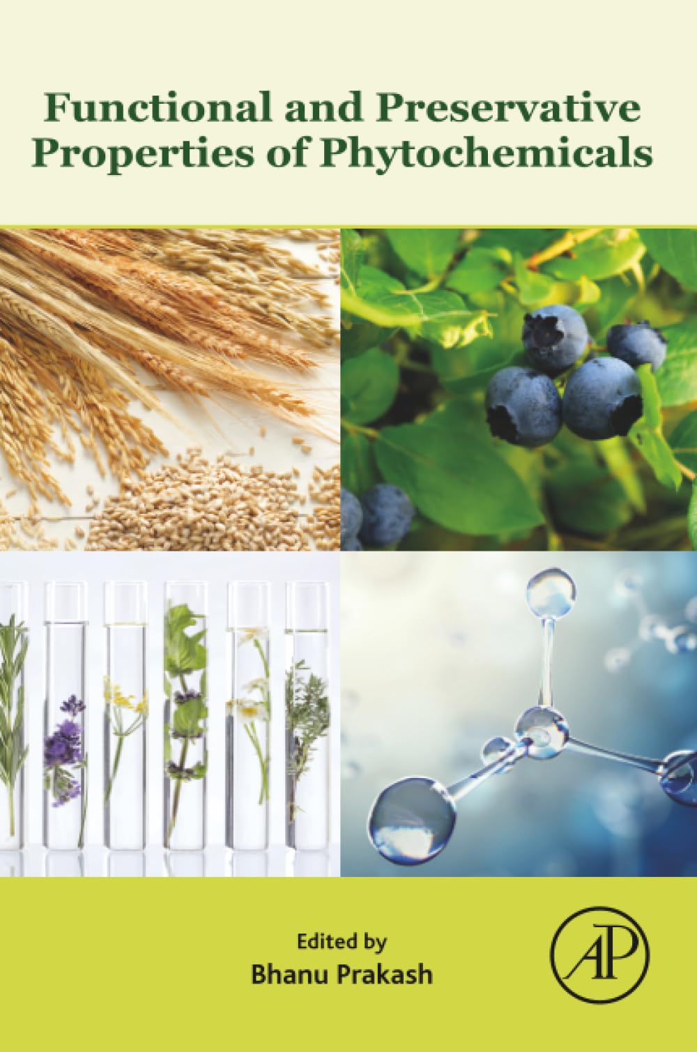 Functional and Preservative Properties of Phytochemicals