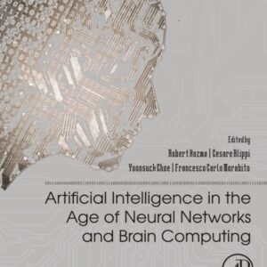 Artificial Intelligence in the Age of Neural Networks and Brain Computing