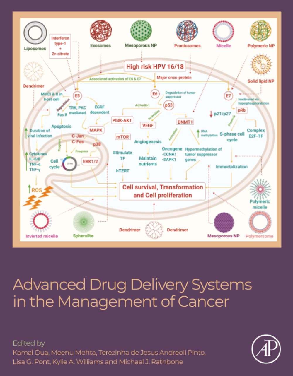Advanced Drug Delivery Systems in the Management of Cancer
