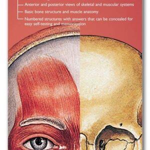 Anatomical Chart Company's Illustrated Pocket Anatomy: The Muscular & Skeletal Systems Study Guide-ISBN: 884471427289