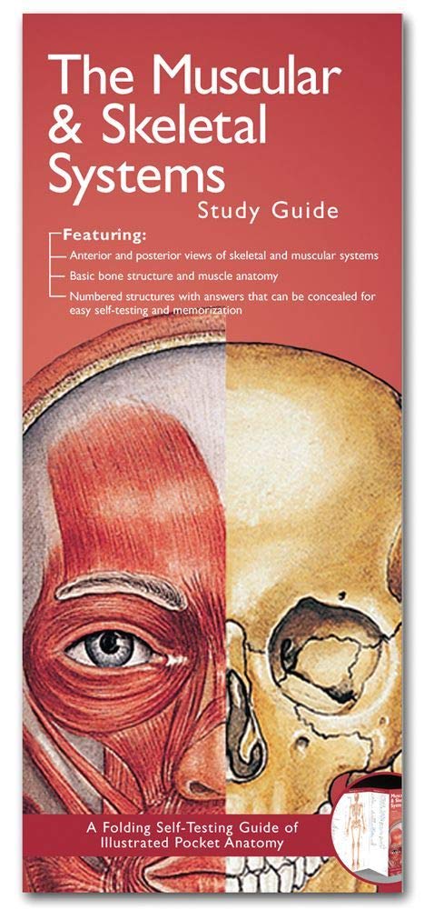 Anatomical Chart Company's Illustrated Pocket Anatomy: The Muscular & Skeletal Systems Study Guide-ISBN: 884471427289