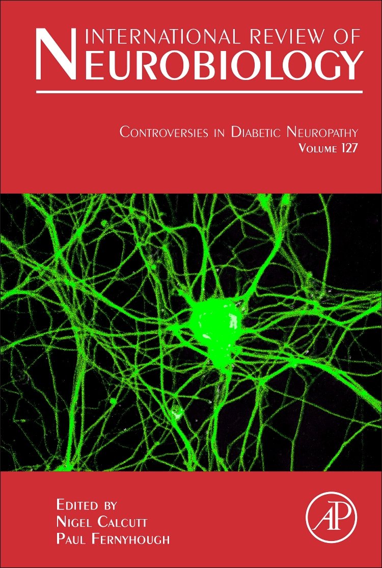Controversies In Diabetic Neuropathy (Volume 127) (International Review of Neurobiology