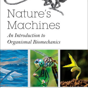 Nature's Machines: An Introduction to Organismal Biomechanics