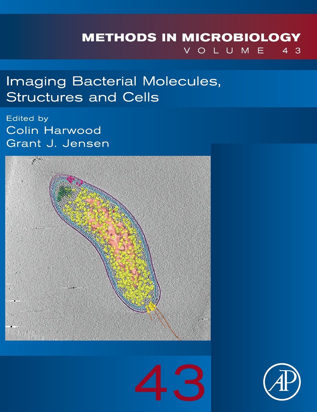 Imaging Bacterial Molecules