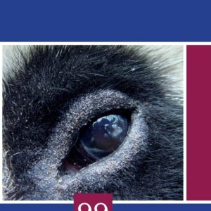 Advances in Parasitology (Volume 99)