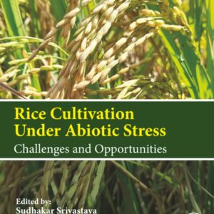 Rice Cultivation Under Abiotic Stress: Challenges and Opportunities