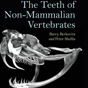 The Teeth of Non-Mammalian Vertebrates
