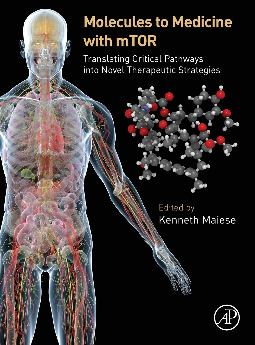 Molecules to Medicine with mTOR: Translating Critical Pathways into Novel Therapeutic Strategies