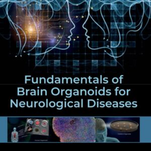 Fundamentals of Brain Organoids for Neurological Diseases