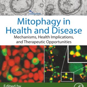 Mitophagy in Health and Disease: Mechanisms