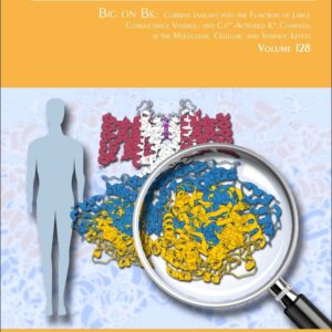 Big on Bk: Current Insights into the Function of Large Conductance Voltage- and Ca2+- Activated K+ Channels at the Molecular