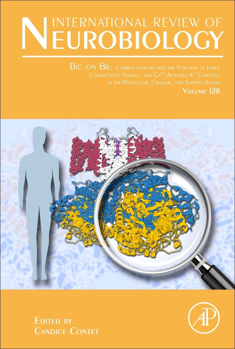 Big on Bk: Current Insights into the Function of Large Conductance Voltage- and Ca2+- Activated K+ Channels at the Molecular