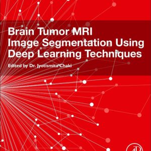 Brain Tumor MRI Image Segmentation Using Deep Learning Techniques