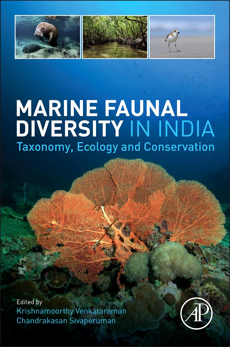 Marine Faunal Diversity in India: Taxonomy