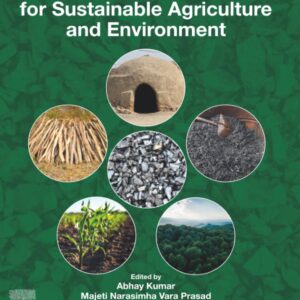 Biochar Ecotechnology for Sustainable Agriculture and Environment