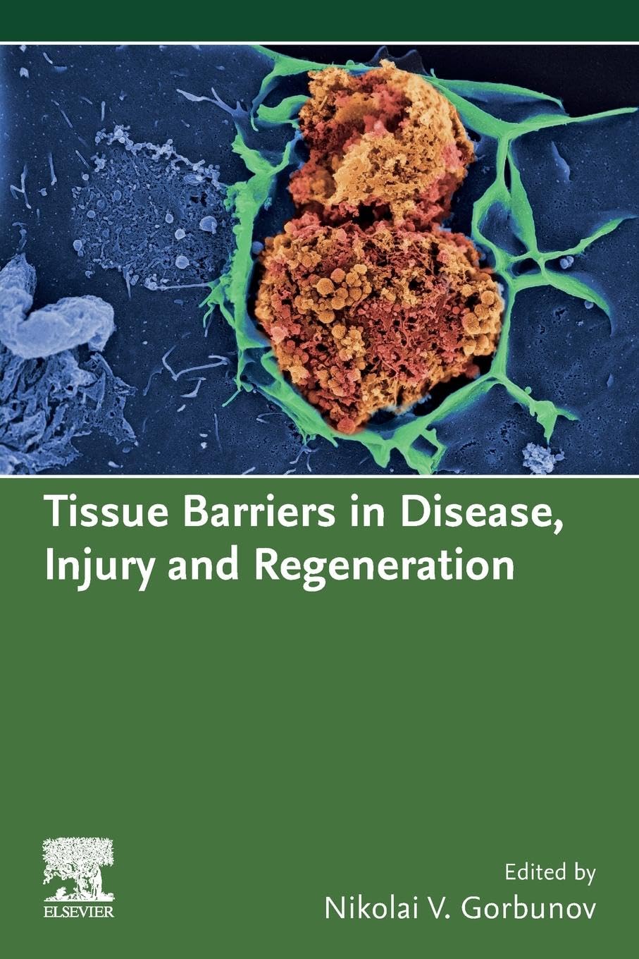 Tissue Barriers in Disease
