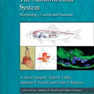 The Cardiovascular System: Morphology