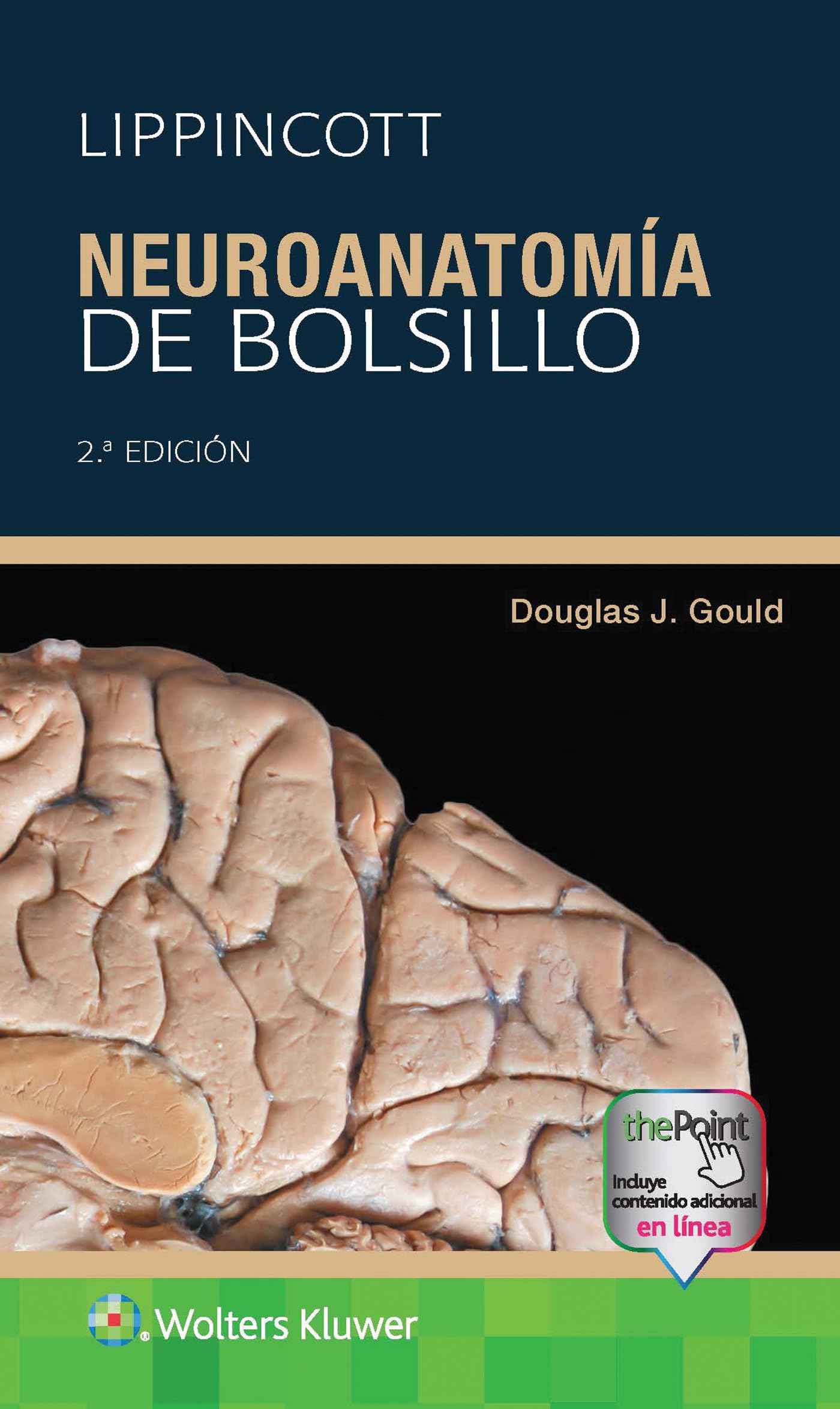 Lippincott. NeuroanatomÃa de bolsillo (Spanish Edition)-ISBN: 9788410870109