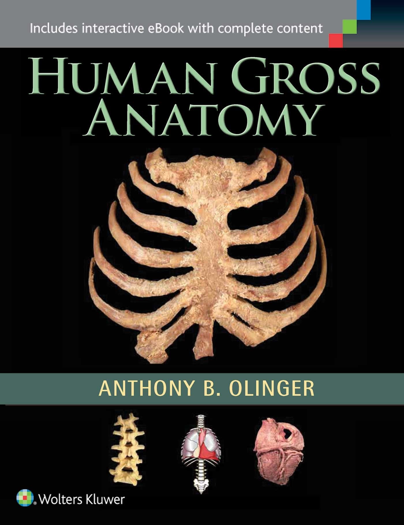 Human Gross Anatomy-ISBN: 9781451187403