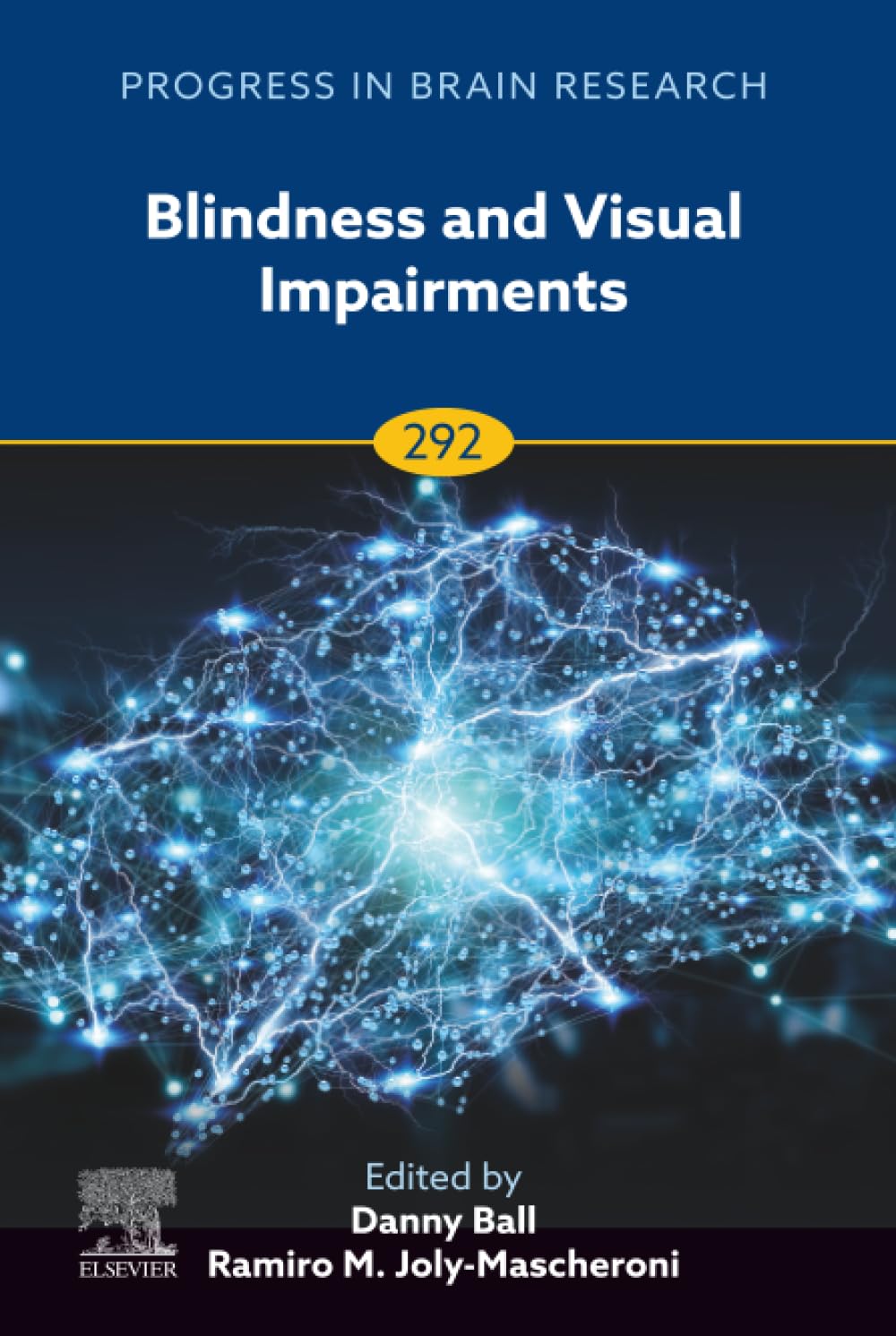 Blindness and Visual Impairments (Volume 292) (Progress in Brain Research