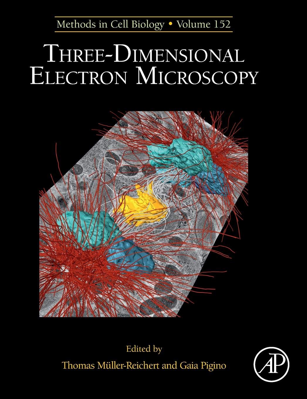 Three-Dimensional Electron Microscopy (Volume 152) (Methods in Cell Biology