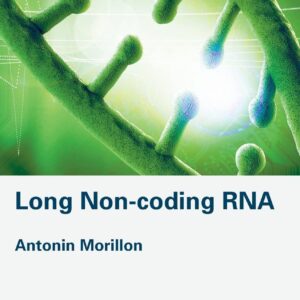 Long Non-coding RNA: The Dark Side of the Genome