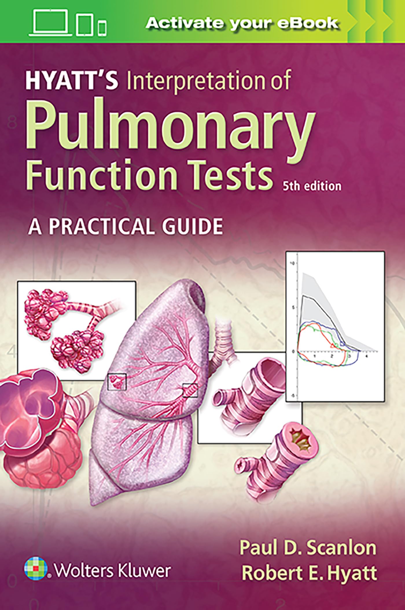 Hyatt's Interpretation of Pulmonary Function Tests-ISBN: 9781975114343