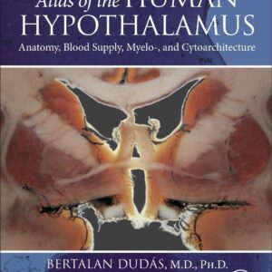 Atlas of the Human Hypothalamus: Anatomy