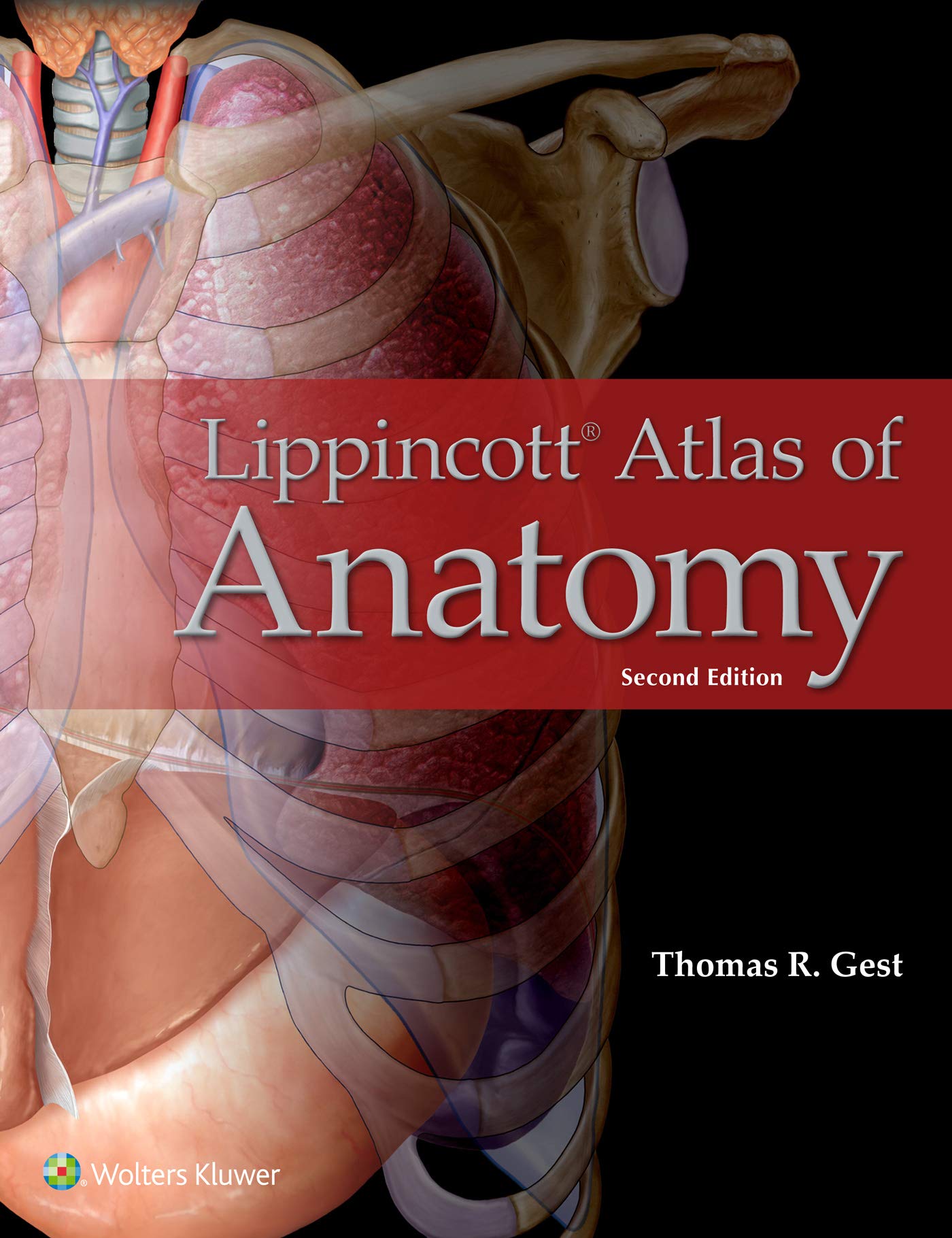 Lippincott Atlas of Anatomy-ISBN: 9781496338228