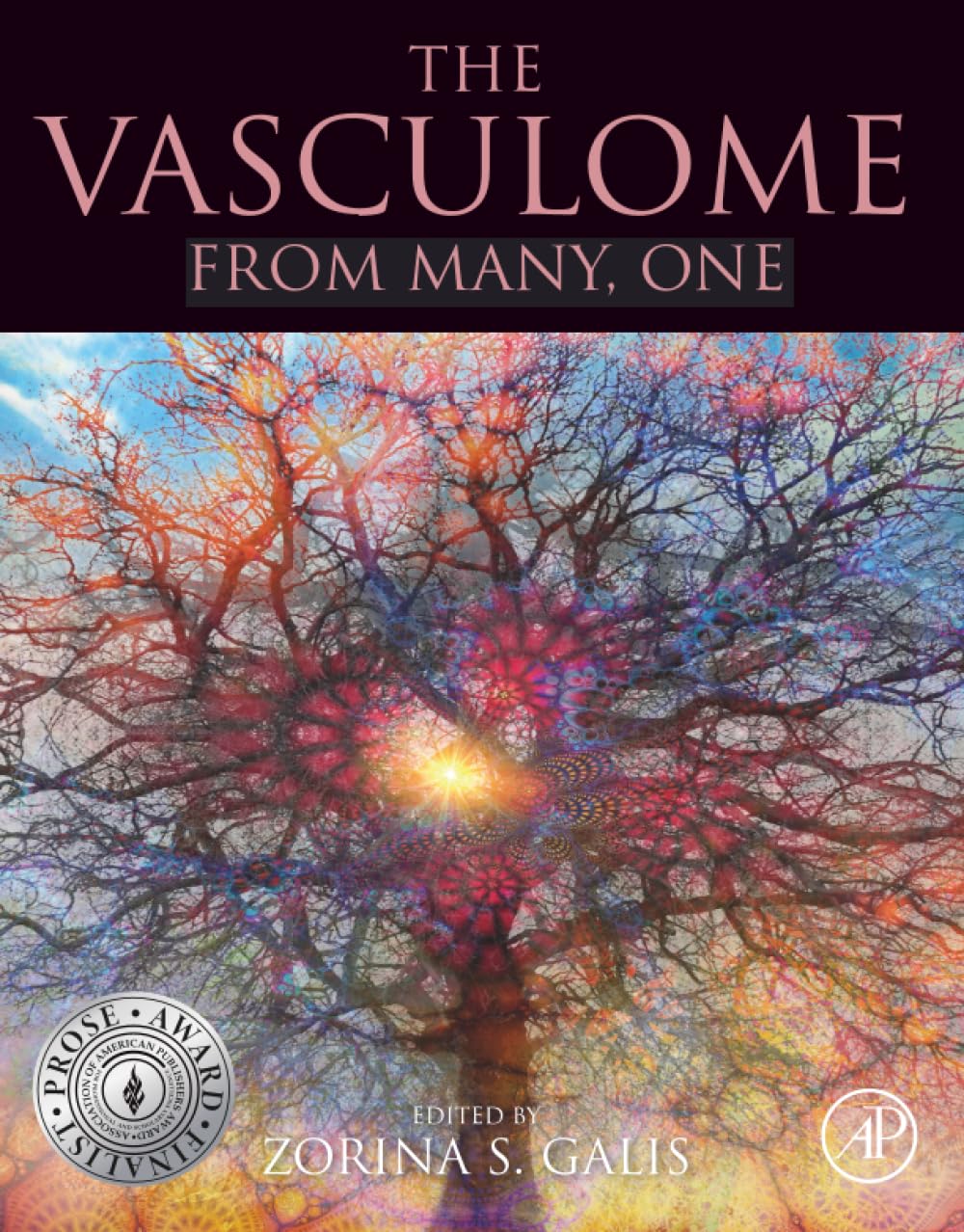 The Vasculome: From Many