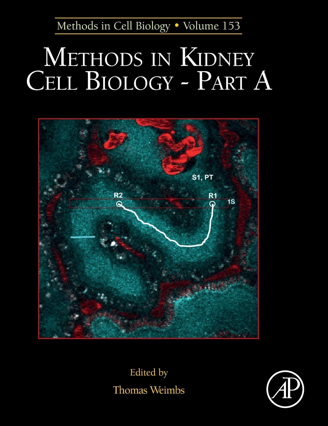 Methods in Kidney Cell Biology Part A (Volume 153) (Methods in Cell Biology