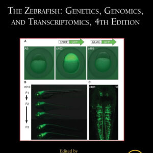 The Zebrafish: Genetics