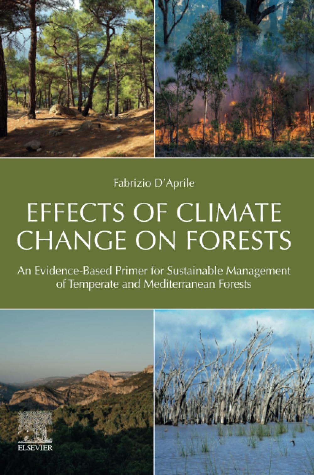 Effects of Climate Change on Forests: An Evidence-Based Primer for Sustainable Management of Temperate and Mediterranean Forests