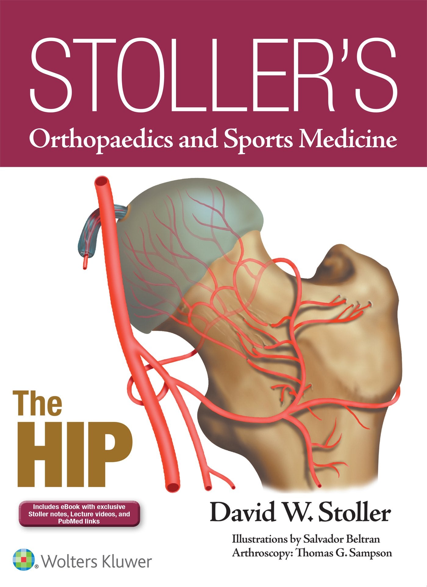 Stoller's Orthopaedics and Sports Medicine: The Hip-ISBN: 9781496317605