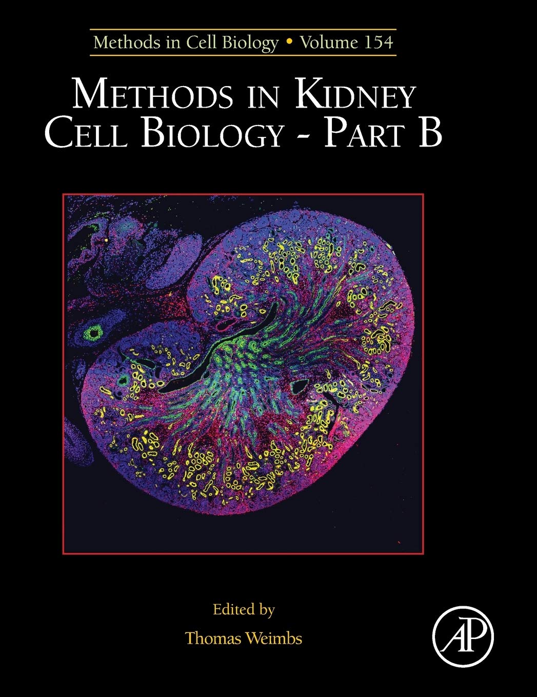 Methods in Kidney Cell Biology Part B (Volume 154) (Methods in Cell Biology