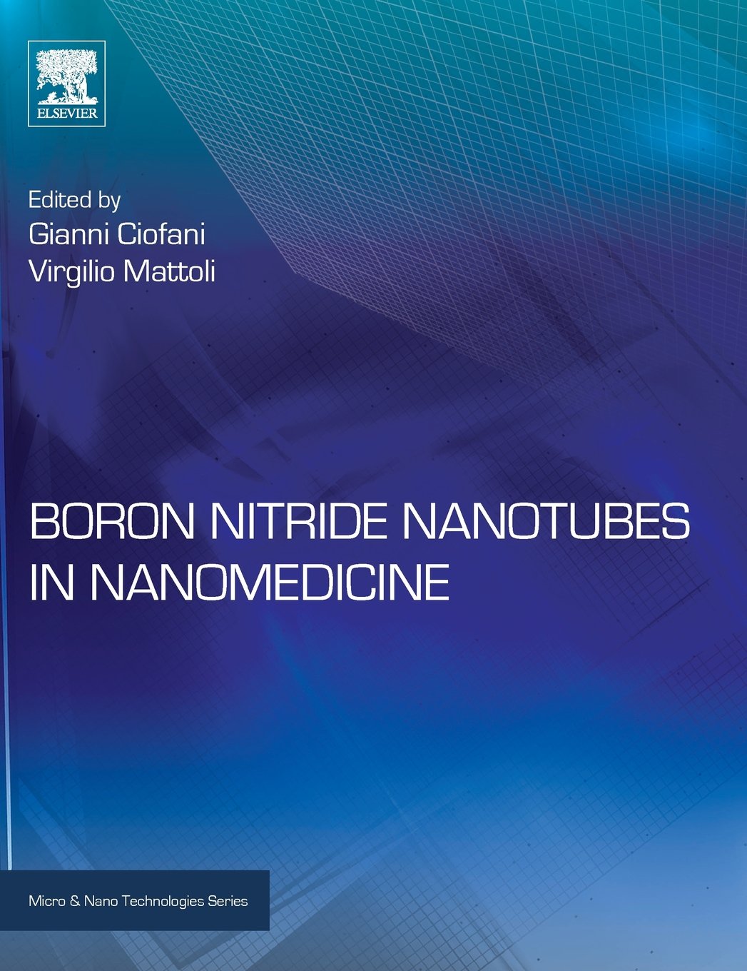 Boron Nitride Nanotubes in Nanomedicine (Micro and Nano Technologies)
