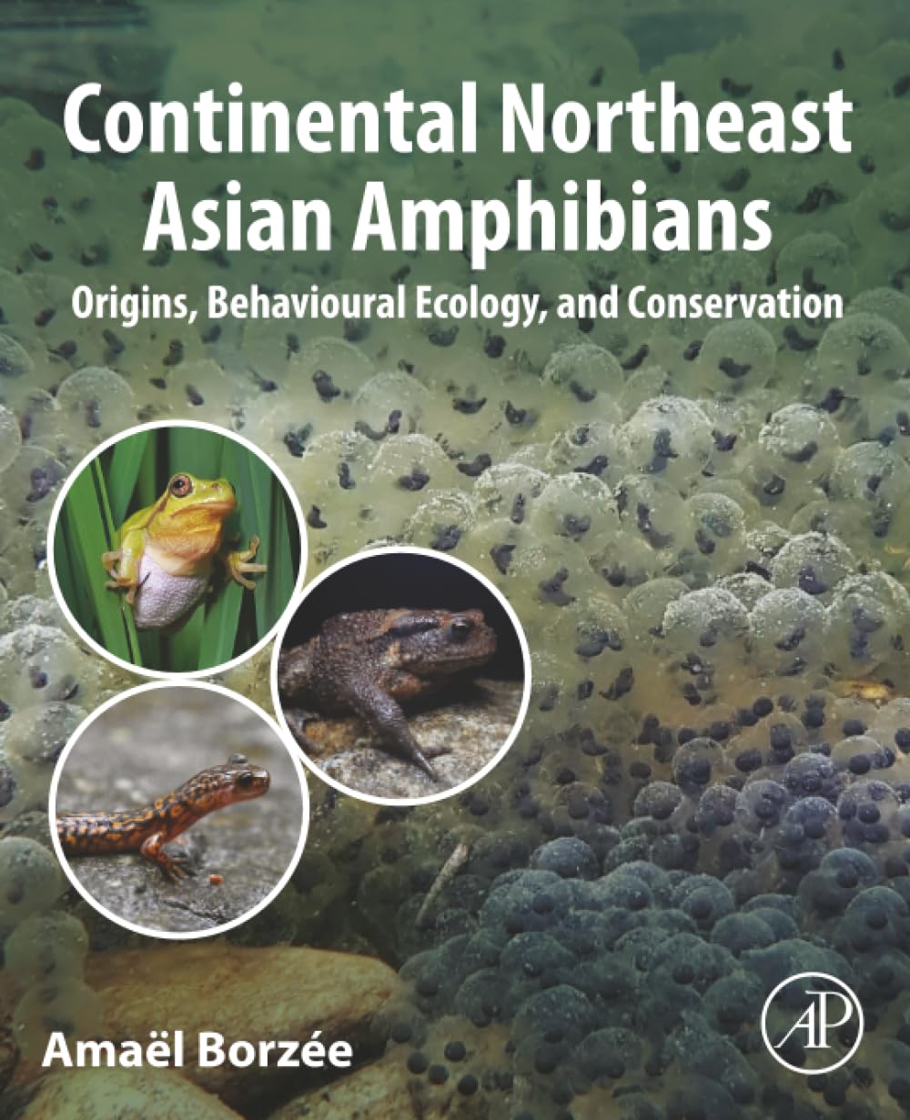Continental Northeast Asian Amphibians: Origins