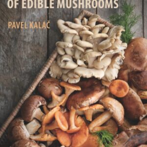 Mineral Composition and Radioactivity of Edible Mushrooms