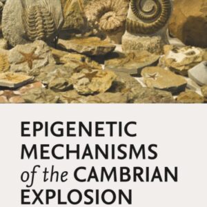 Epigenetic Mechanisms of the Cambrian Explosion