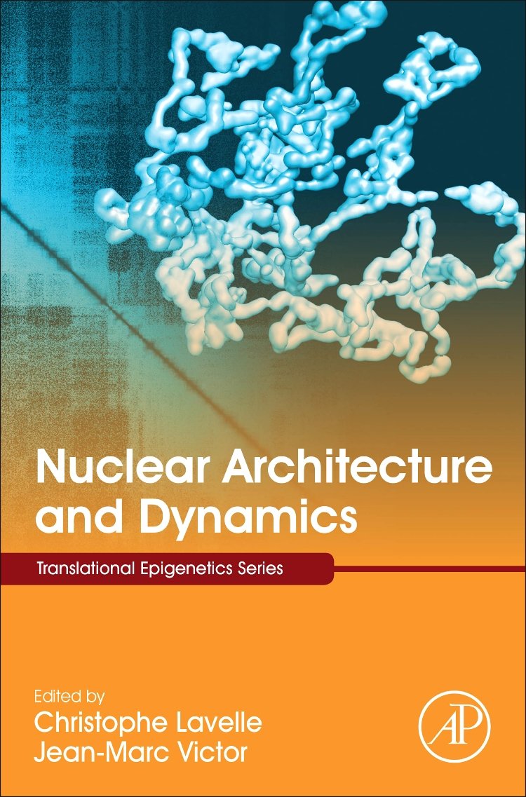 Nuclear Architecture and Dynamics (Volume 2) (Translational Epigenetics