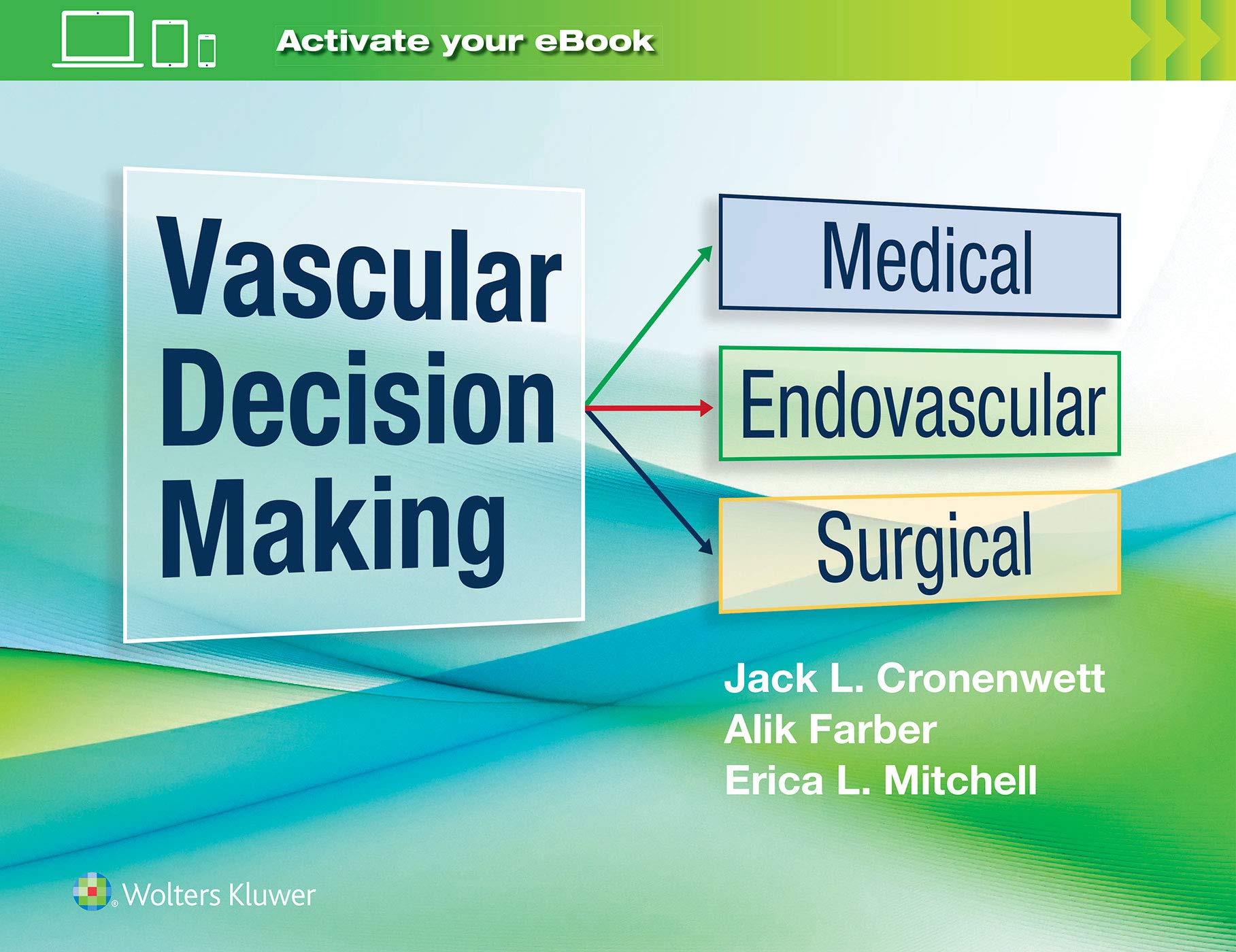 Vascular Decision Making: Medical