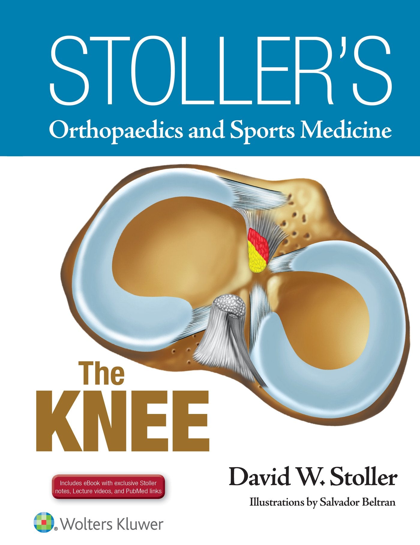 Stoller's Orthopaedics and Sports Medicine: The Knee: Includes Stoller Lecture Videos and Stoller Notes-ISBN: 9781496318282
