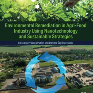 Environmental Remediation in Agri-Food Industry Using Nanotechnology and Sustainable Strategies